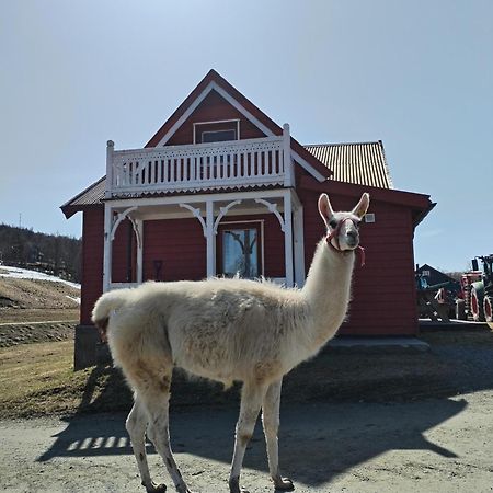 Sommerstue Hessdalen Exterior foto